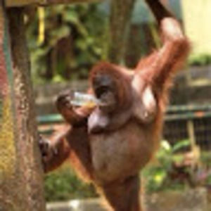 Meet your Posher, Dana